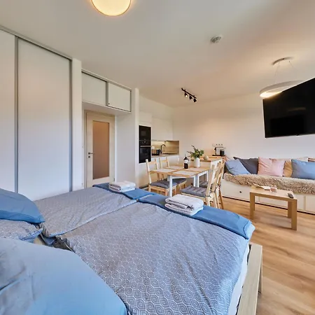 Cerny Dul-1 By Interhome Appartement *