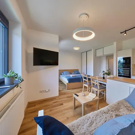 Cerny Dul-1 By Interhome Apartment *