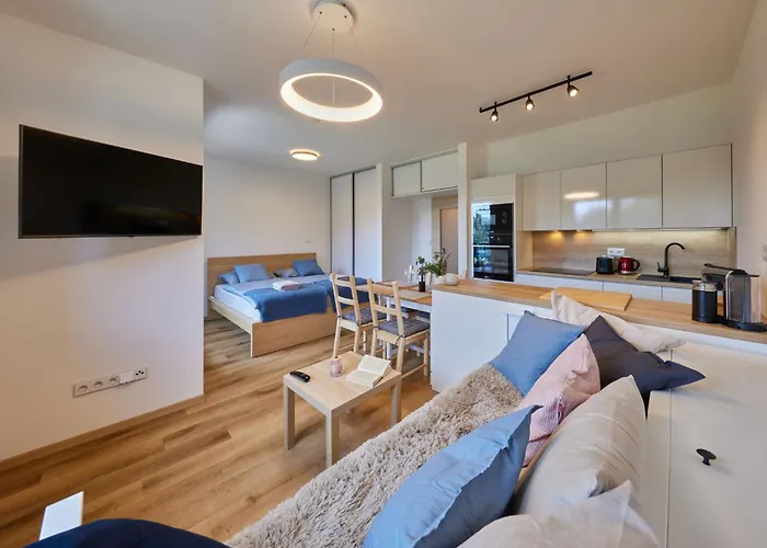 Cerny Dul-1 By Interhome Appartement Černý Důl