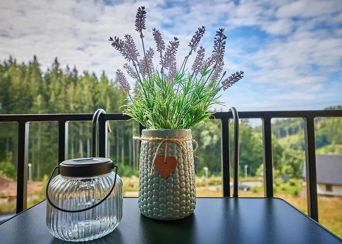 Cerny Dul-1 By Interhome *