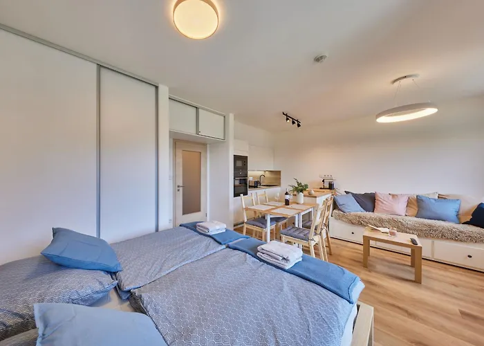 Cerny Dul-1 By Interhome