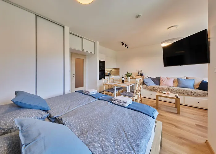 Cerny Dul-1 By Interhome アパート *