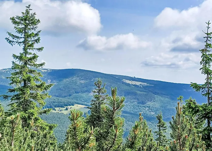 アパート Cerny Dul-1 By Interhome チェルニー・ドゥール